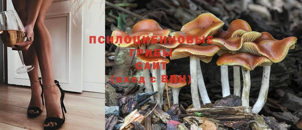 ПСИЛОЦИБИНОВЫЕ ГРИБЫ Киреевск